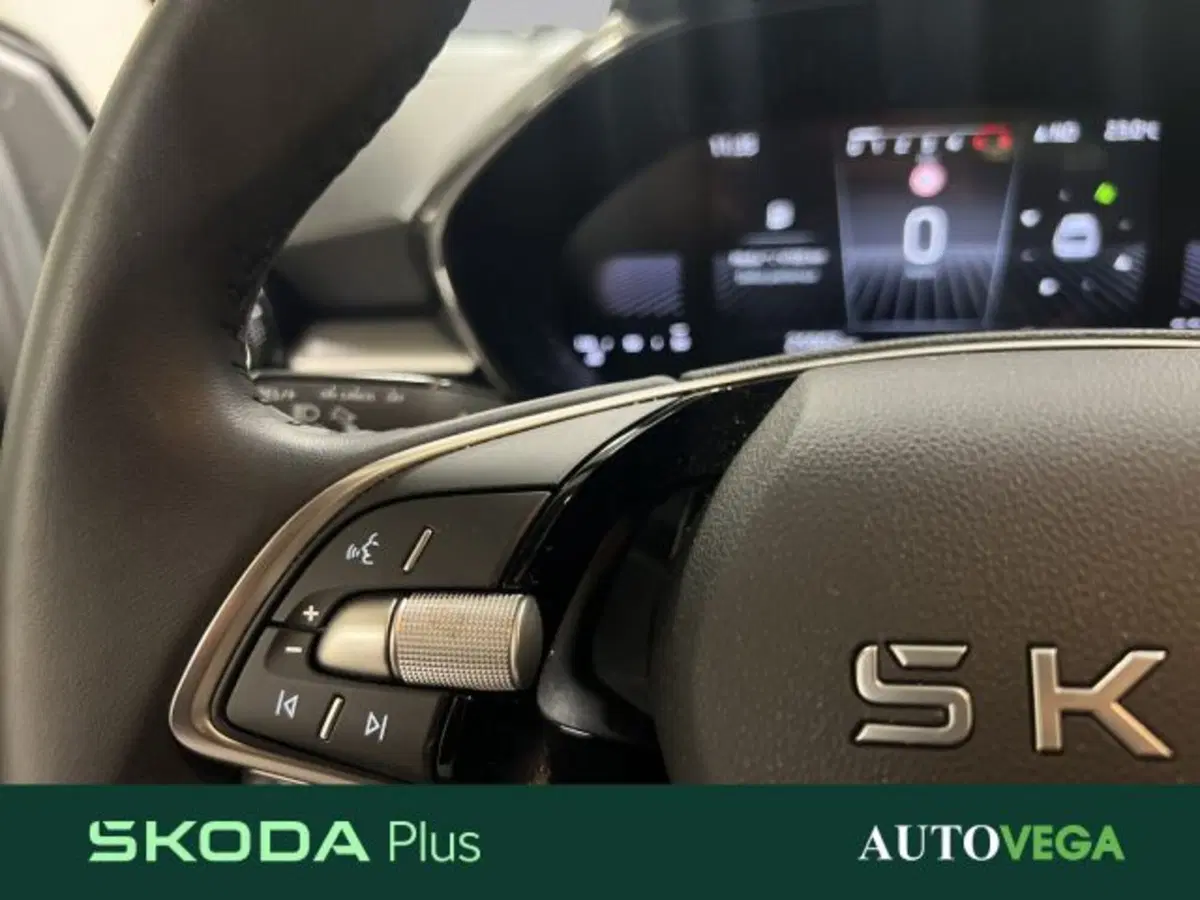 Skoda Fabia usata a Vicenza (16)