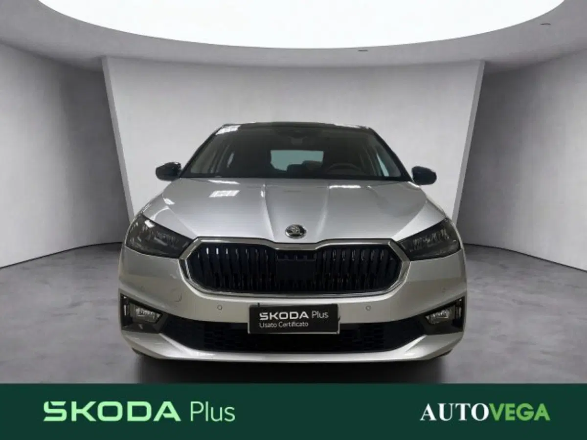 Skoda Fabia usata a Vicenza (2)