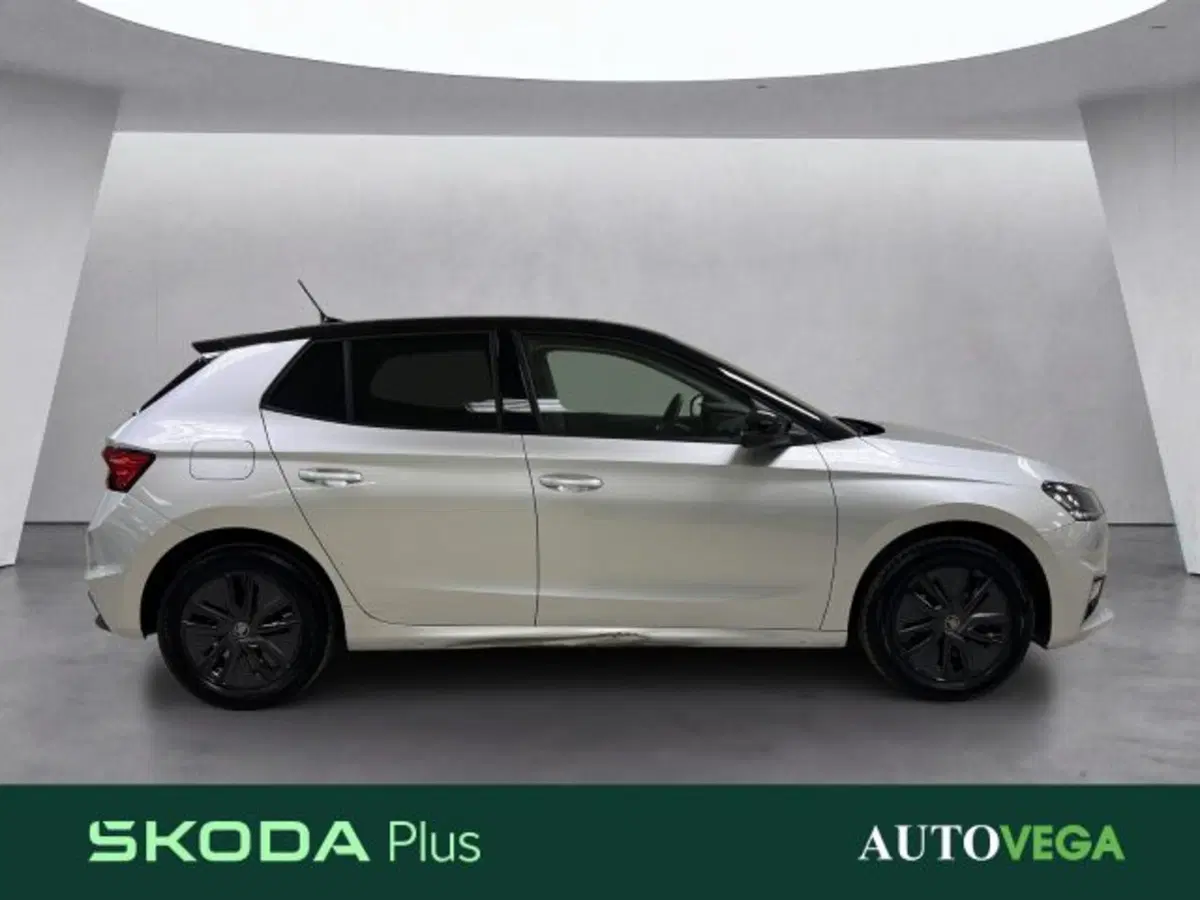 Skoda Fabia usata a Vicenza (3)