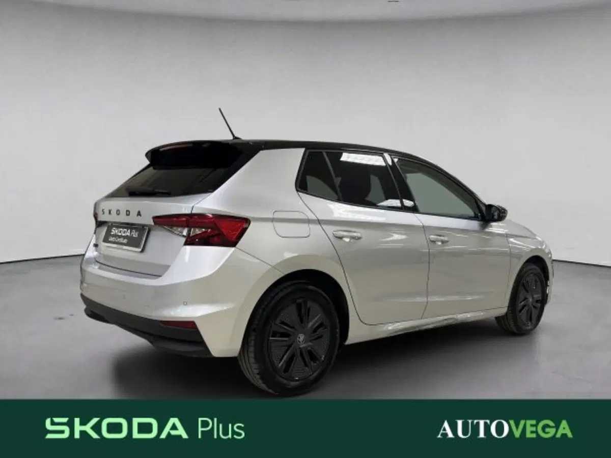 Skoda Fabia usata a Vicenza (4)