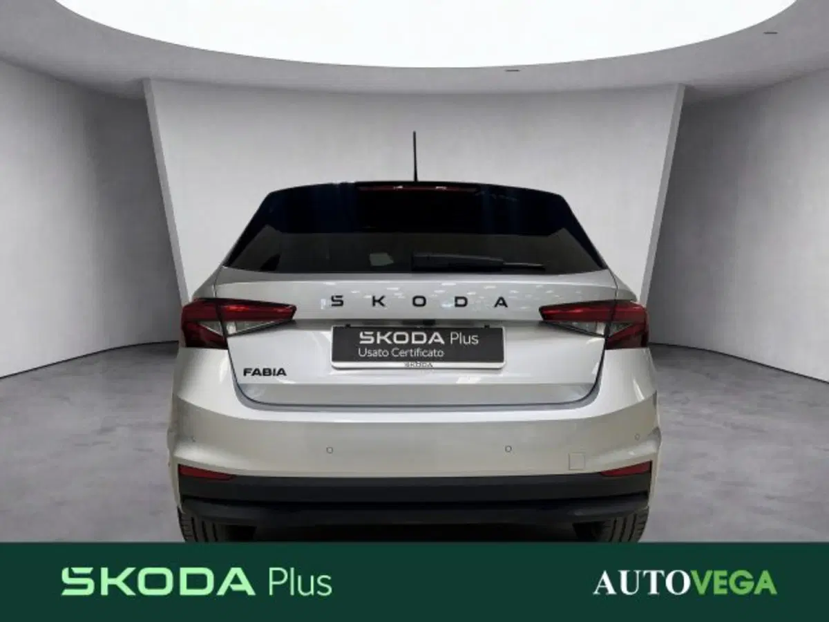 Skoda Fabia usata a Vicenza (5)