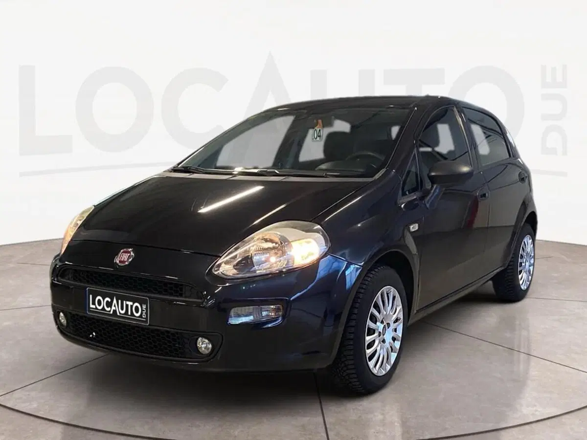 Fiat Punto usata a Torino