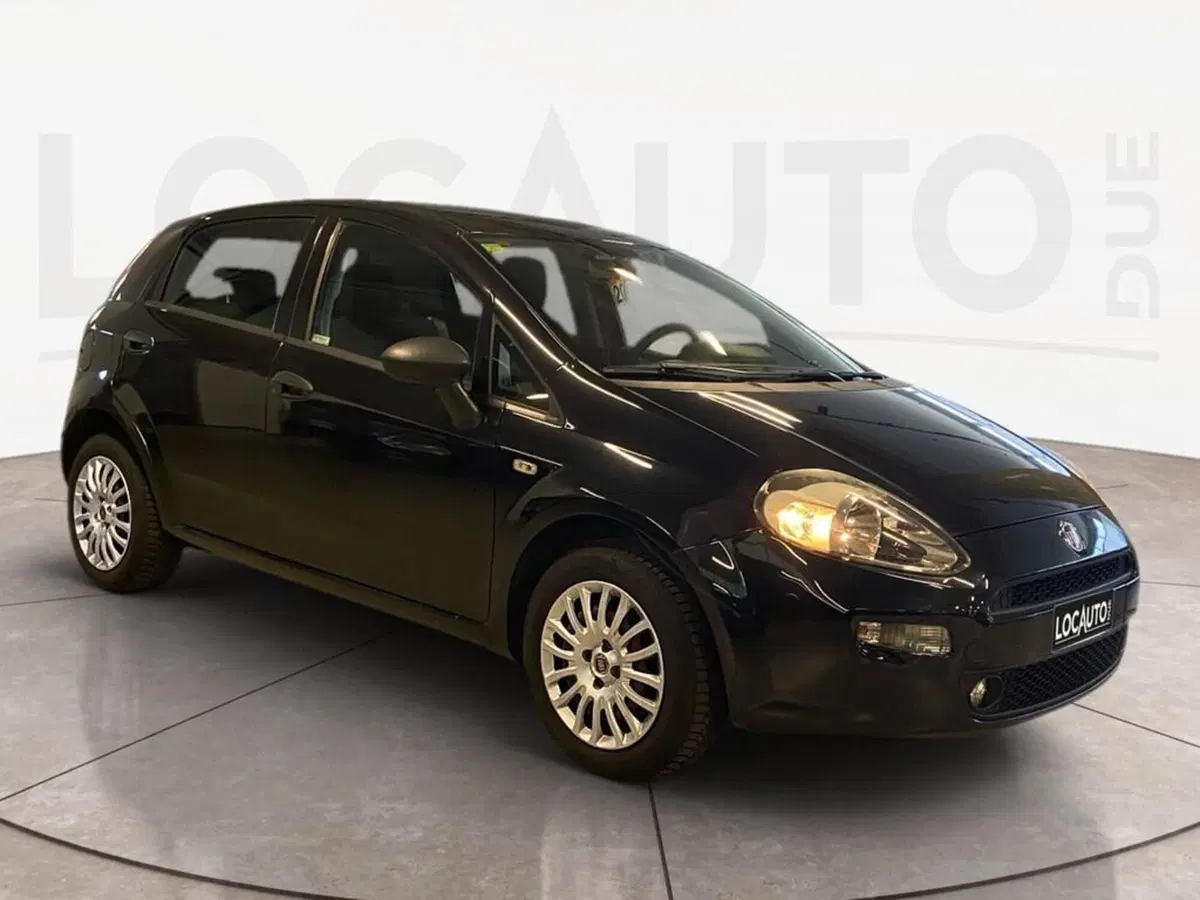 Fiat Punto usata a Torino (2)