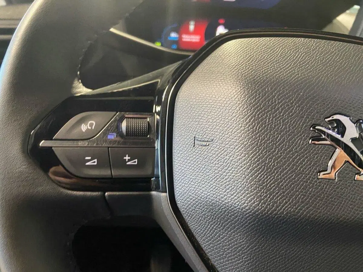 Peugeot 2008 usata a Torino (12)