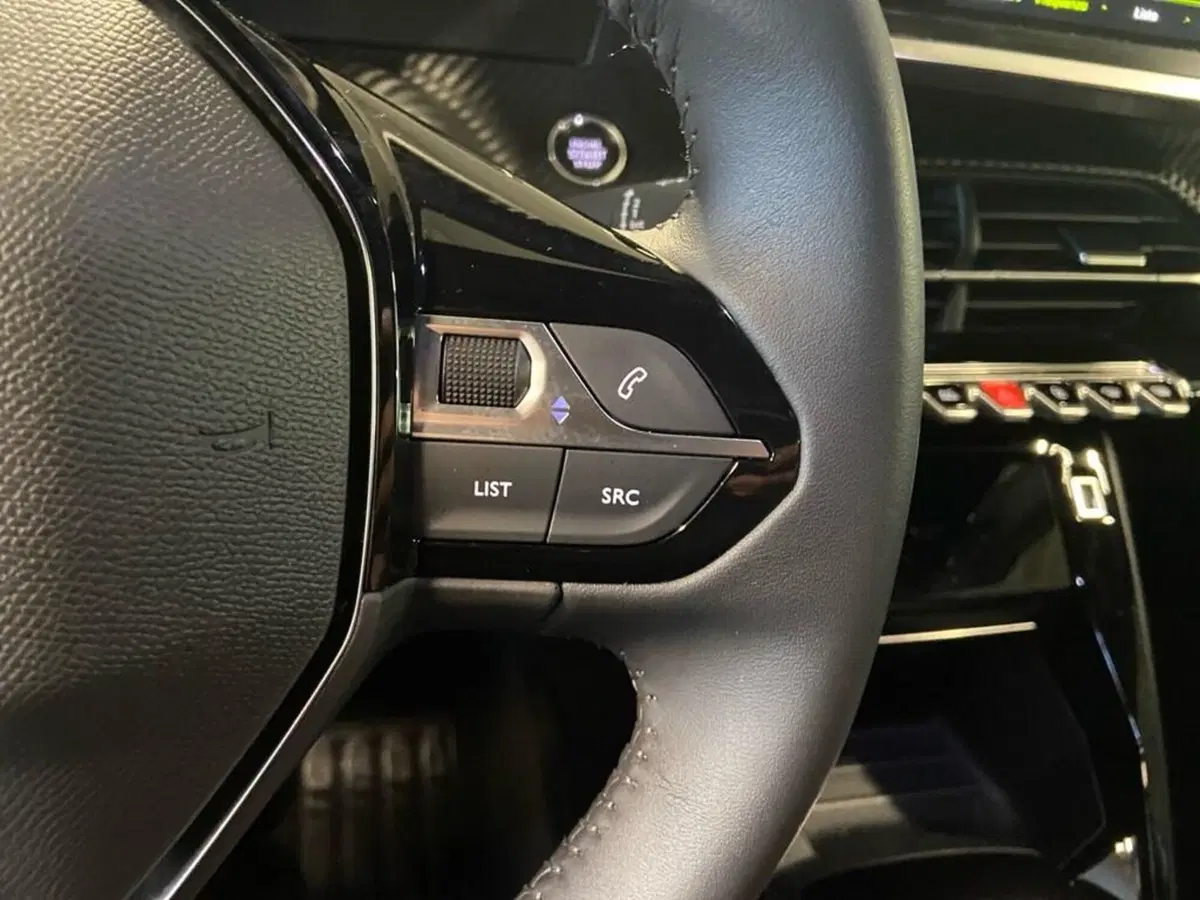 Peugeot 2008 usata a Torino (13)