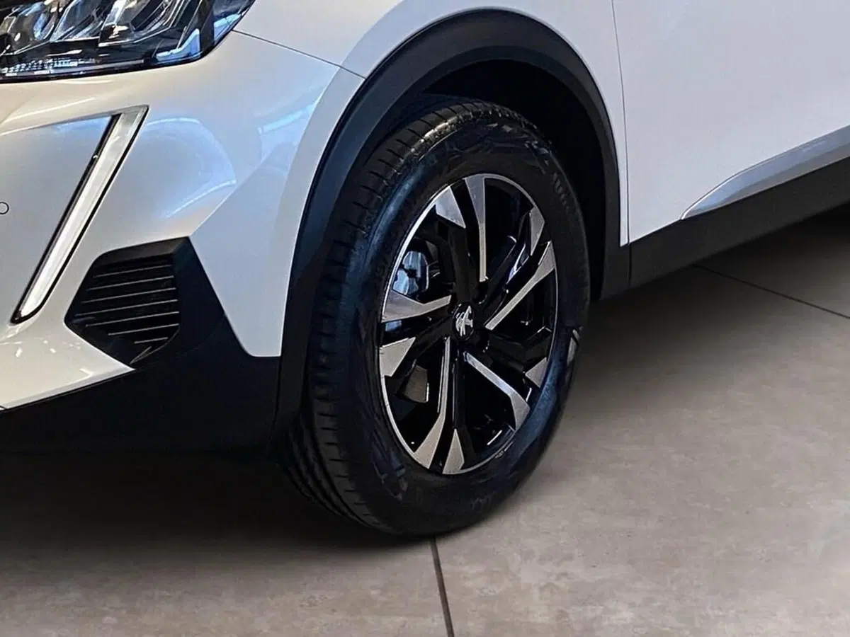 Peugeot 2008 usata a Torino (15)