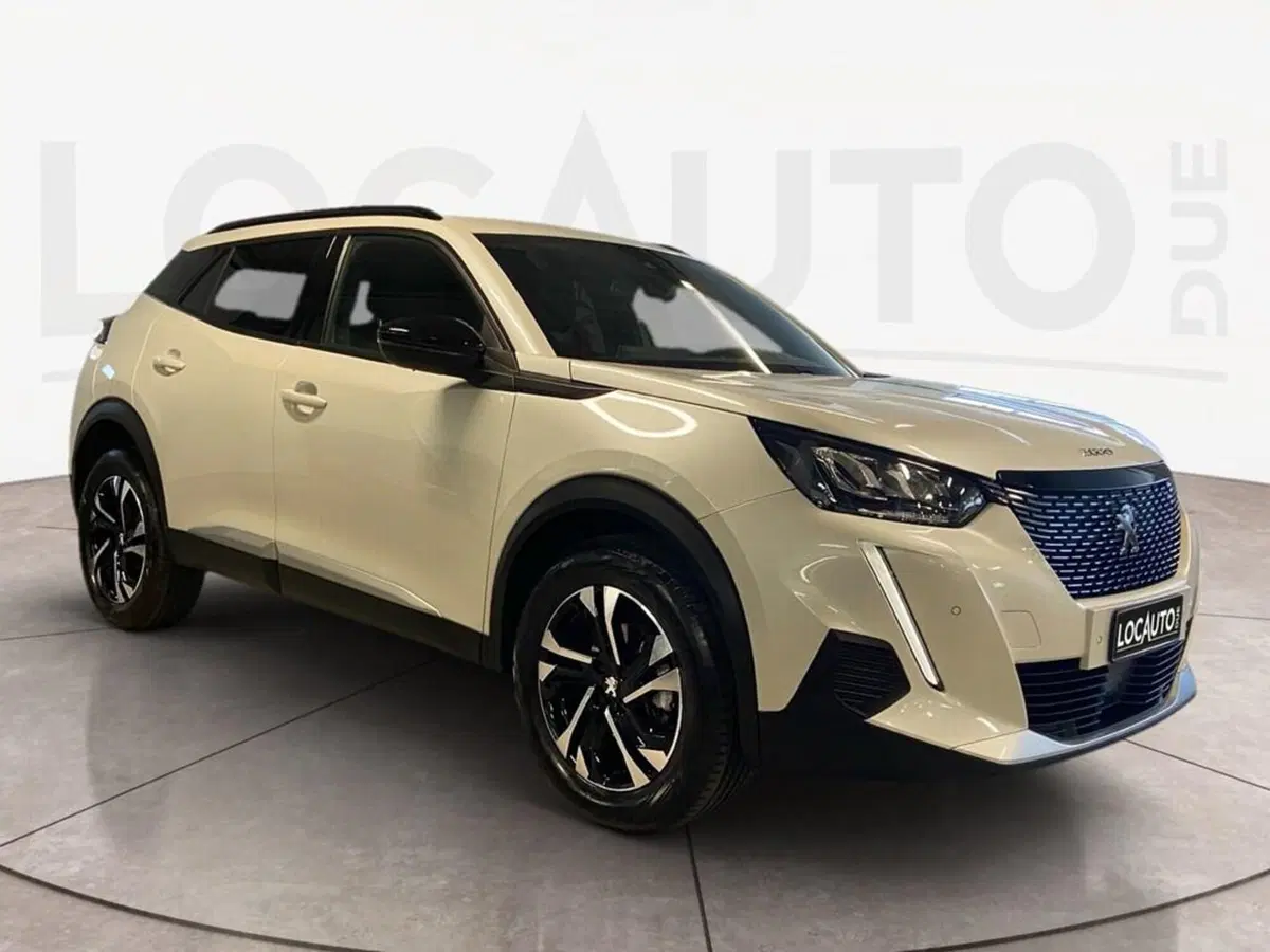 Peugeot 2008 usata a Torino (3)
