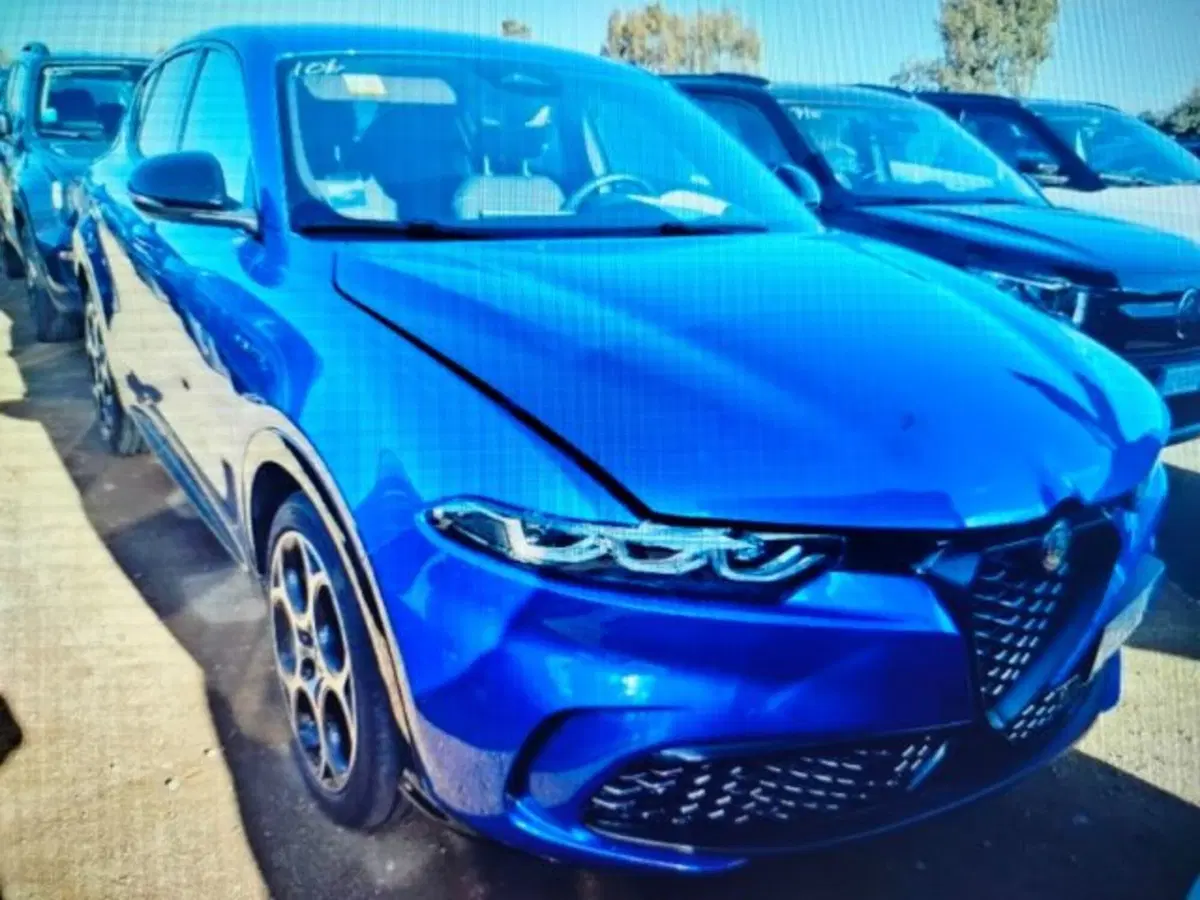 Alfa Romeo Tonale usata a Forlì-Cesena (2)