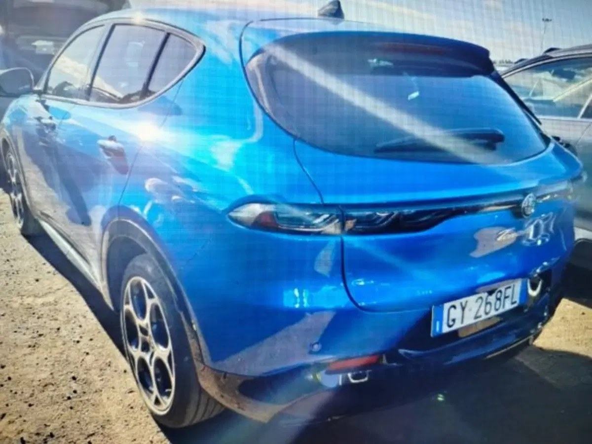 Alfa Romeo Tonale usata a Forlì-Cesena (3)