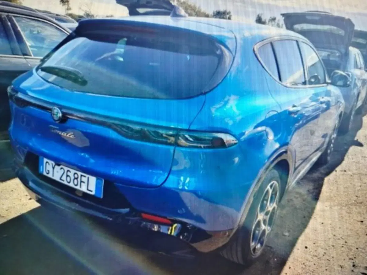Alfa Romeo Tonale usata a Forlì-Cesena (4)