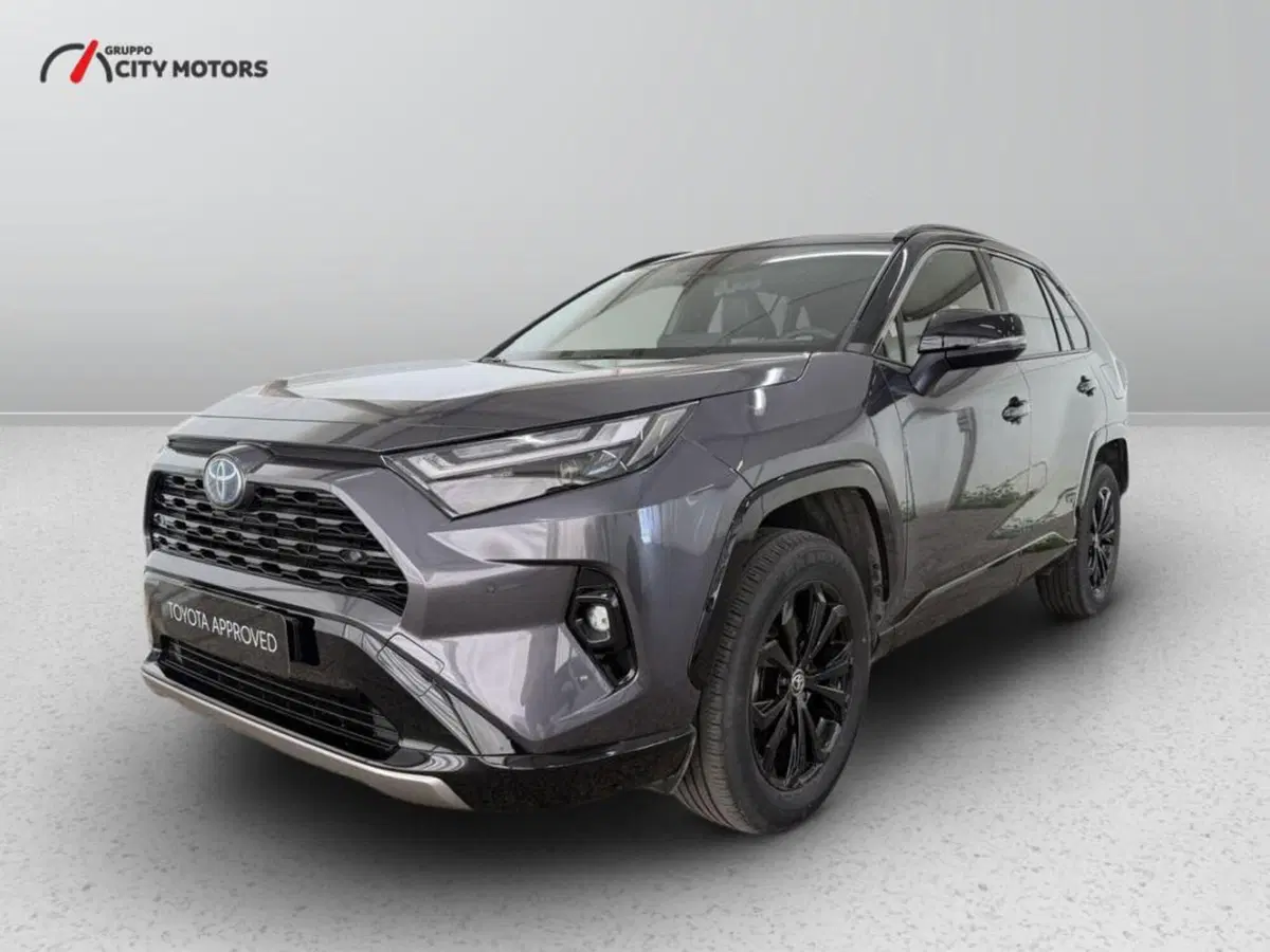 Toyota Rav4 usata a Monza e Brianza
