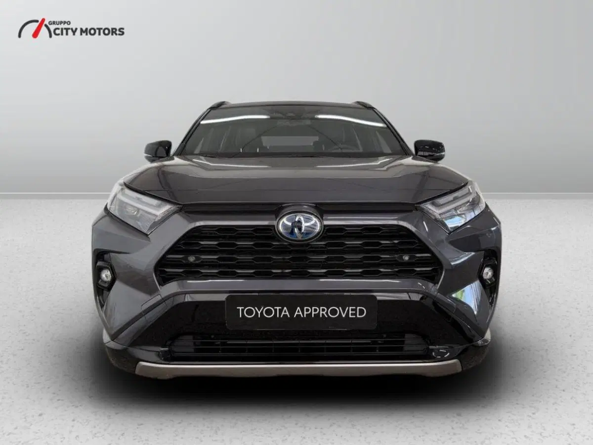 Toyota Rav4 usata a Monza e Brianza (3)