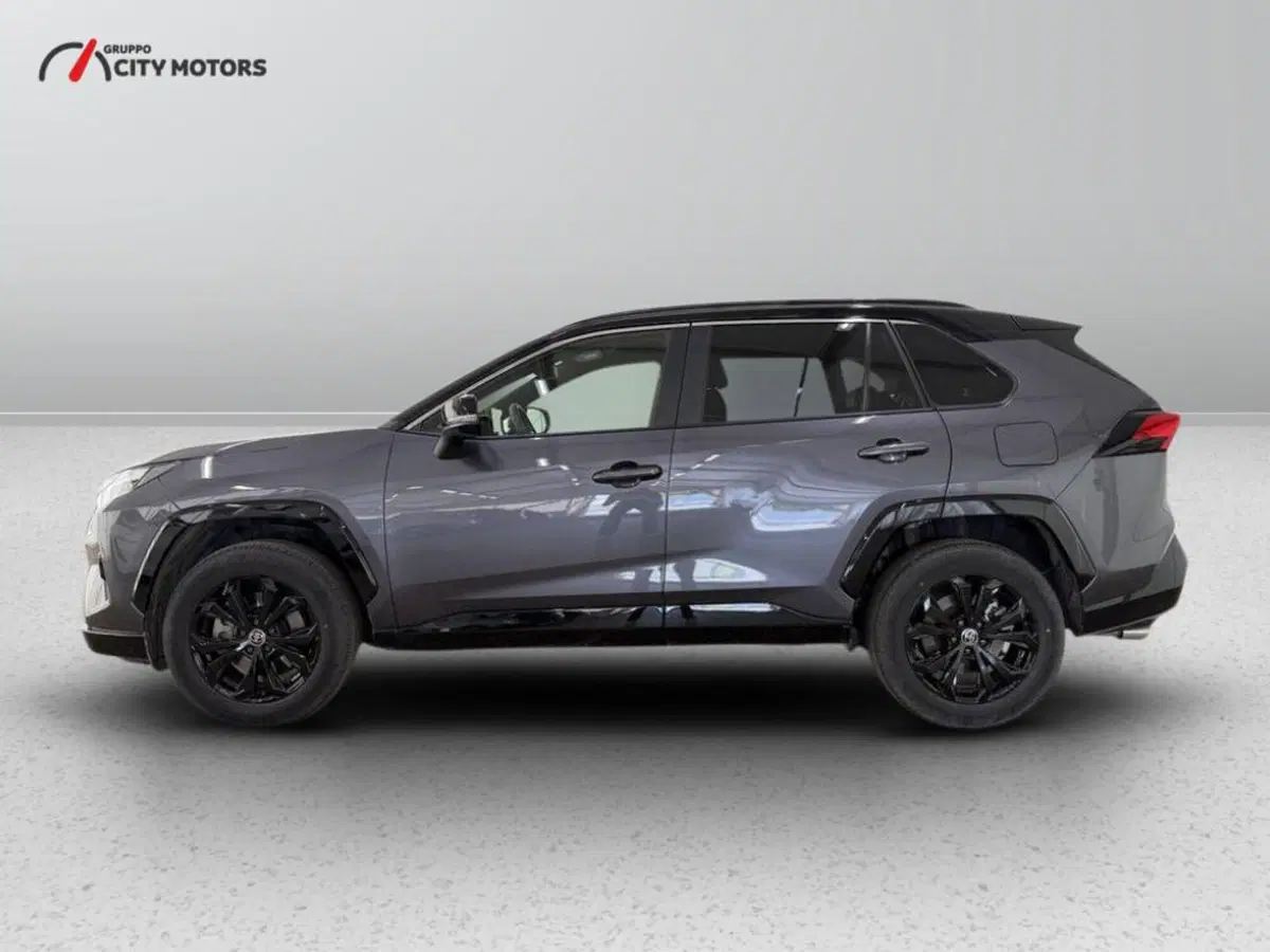 Toyota Rav4 usata a Monza e Brianza (4)