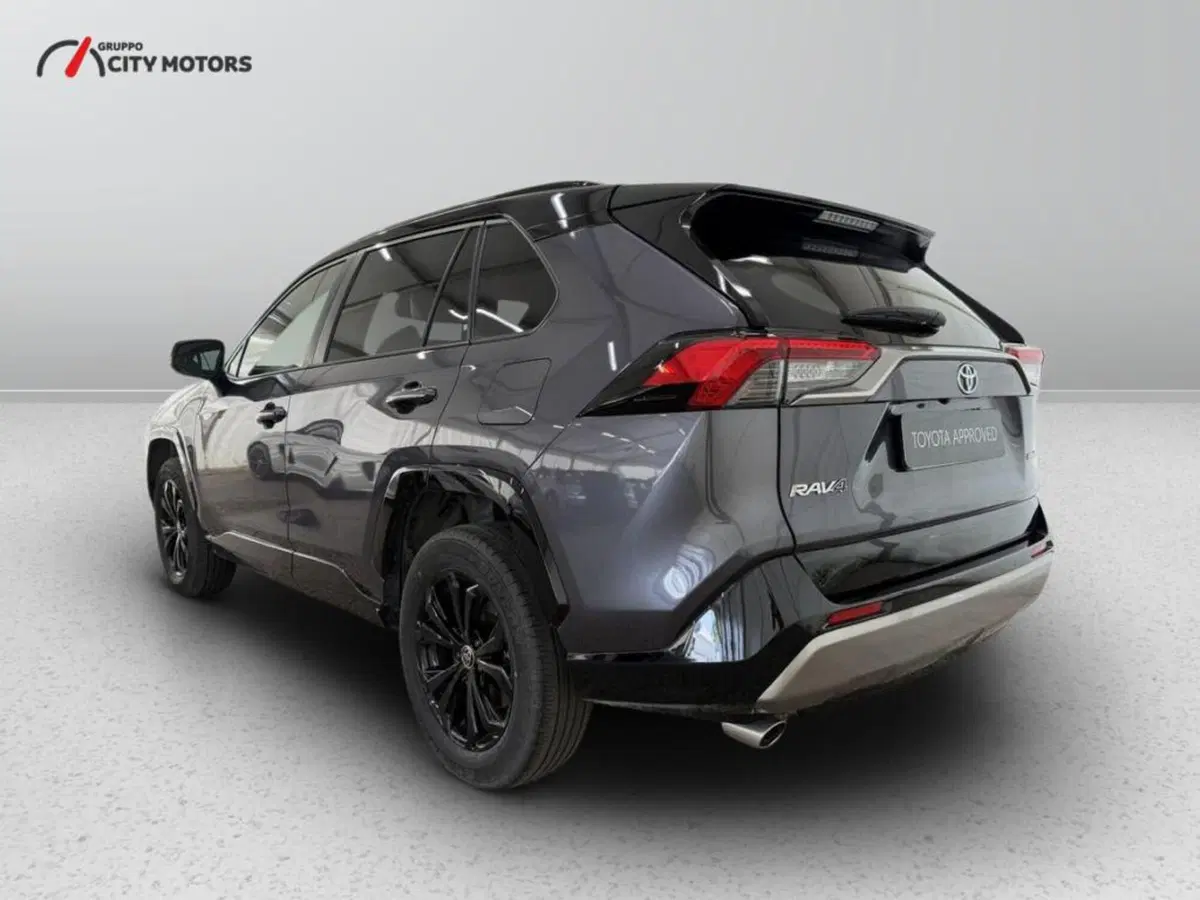 Toyota Rav4 usata a Monza e Brianza (5)