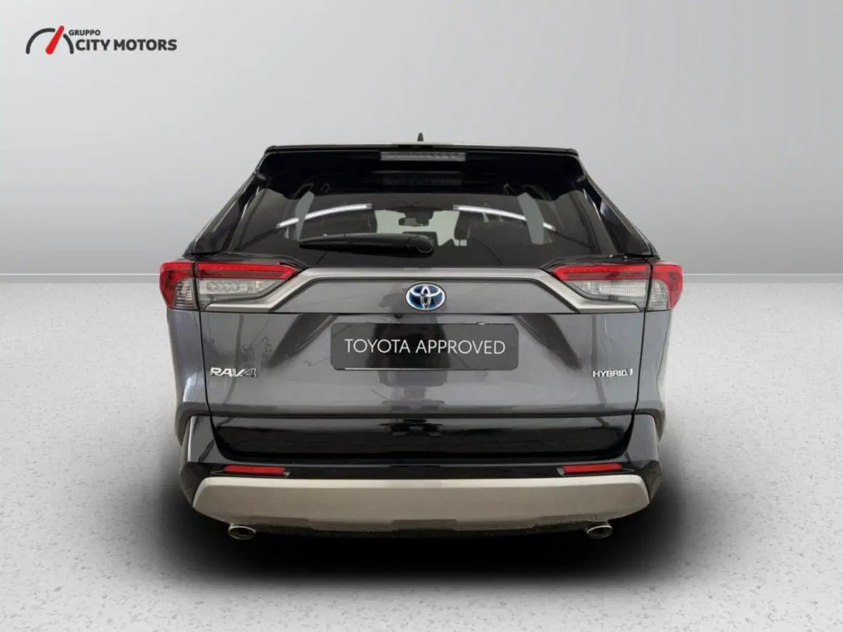 Toyota Rav4 usata a Monza e Brianza (6)