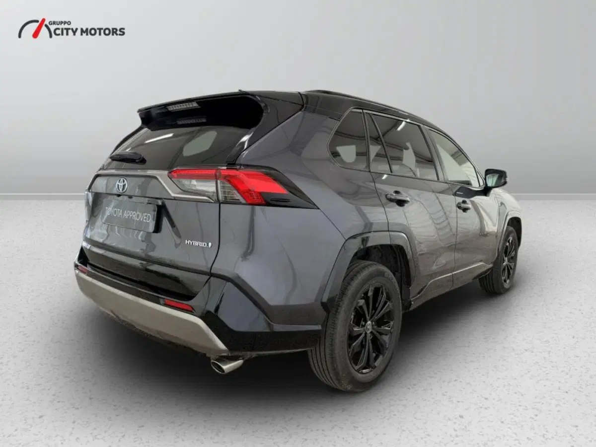 Toyota Rav4 usata a Monza e Brianza (7)