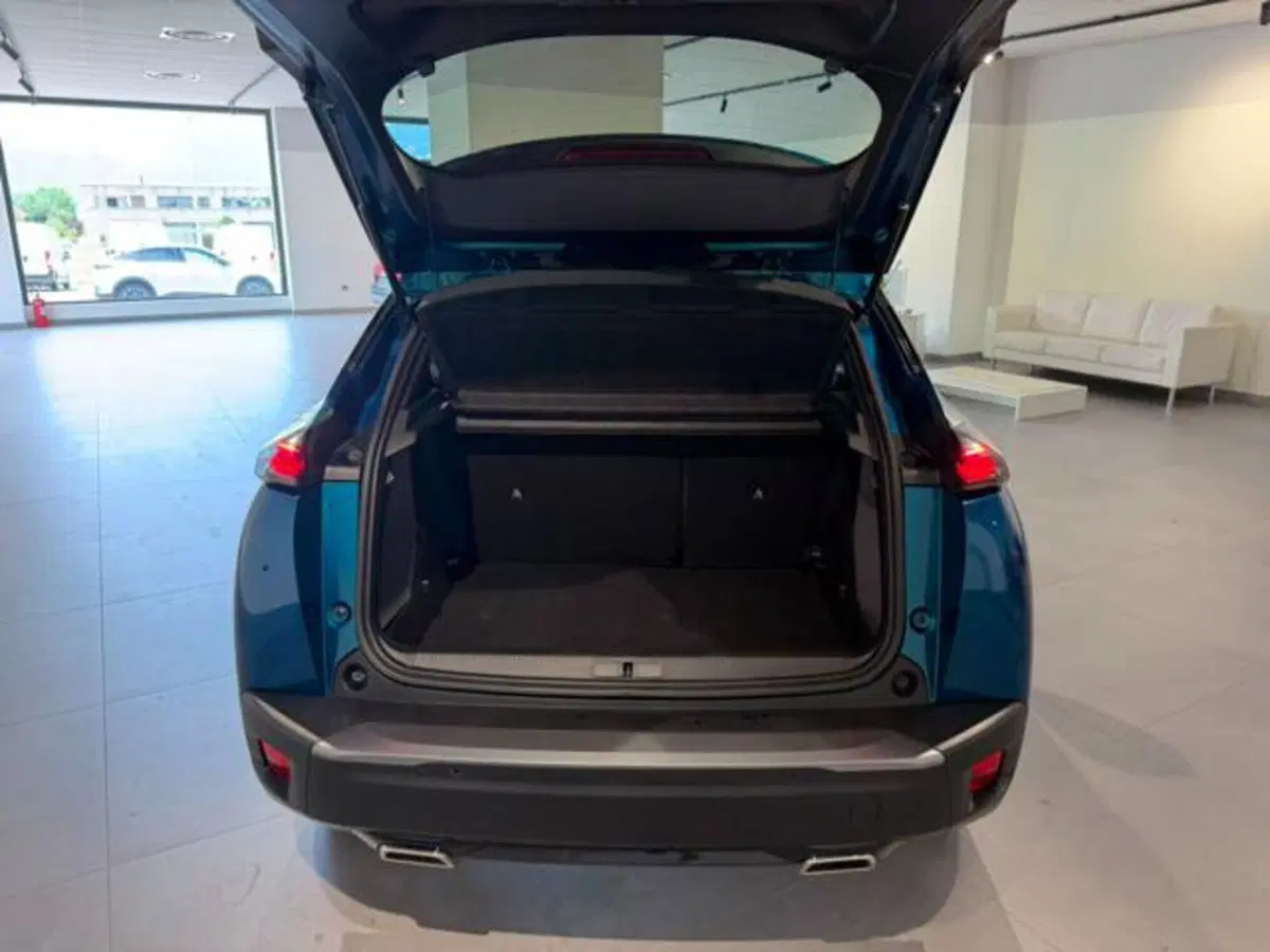 Peugeot 2008 usata a Salerno (20)
