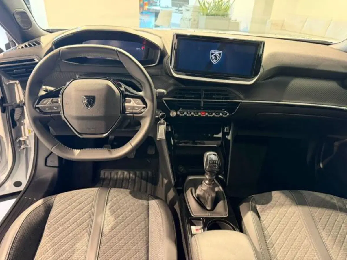 Peugeot 2008 usata a Salerno (13)