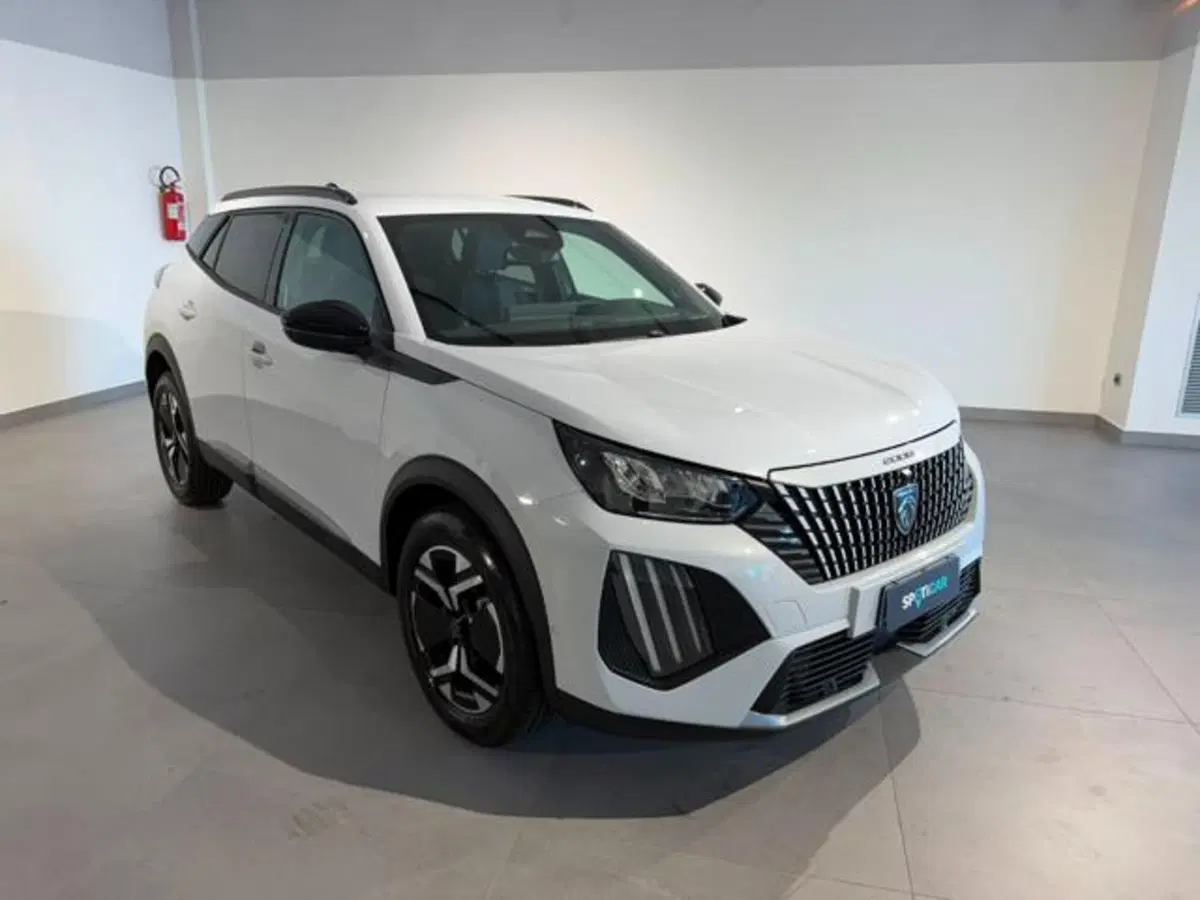 Peugeot 2008 usata a Salerno (2)