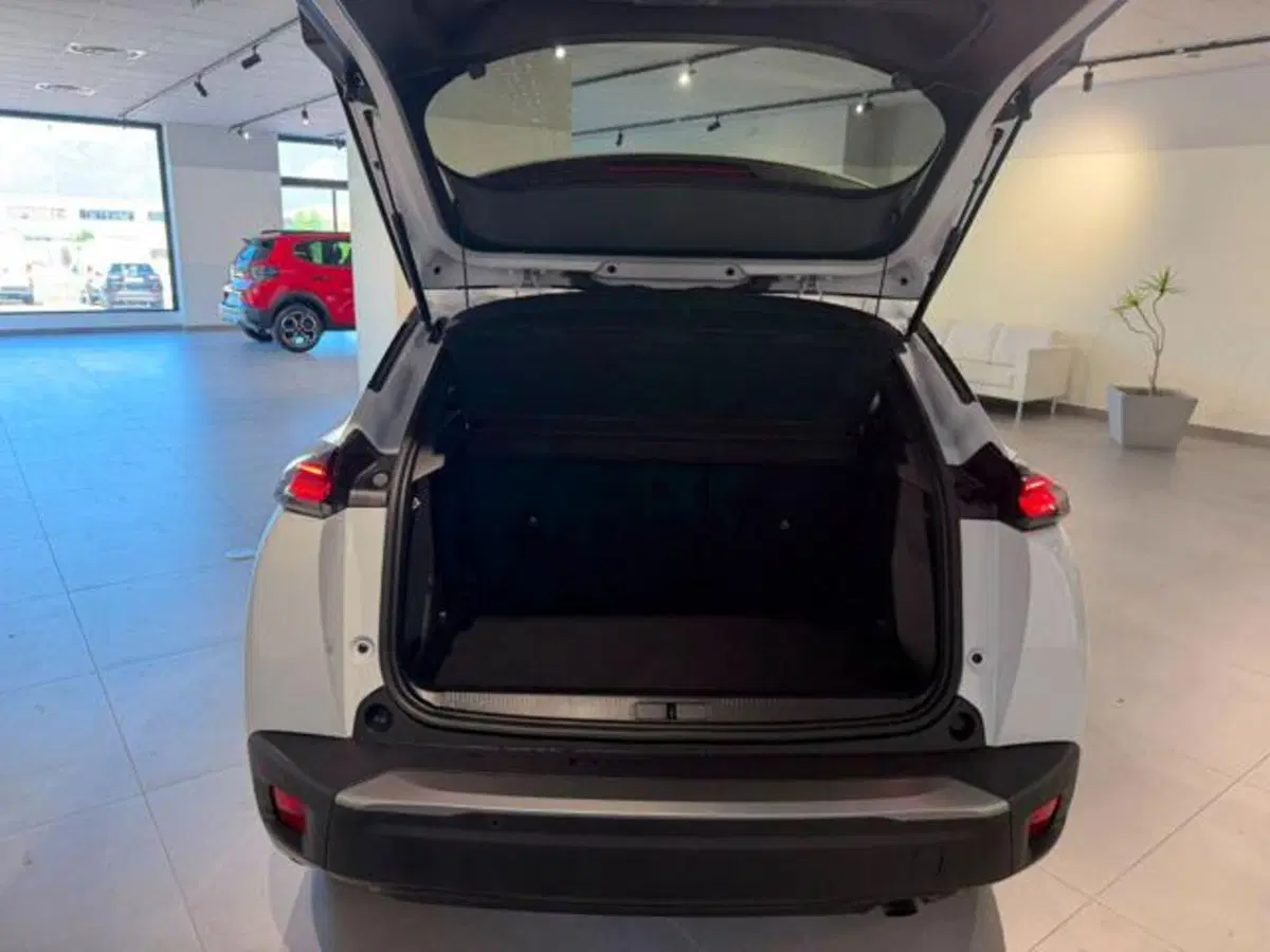 Peugeot 2008 usata a Salerno (20)