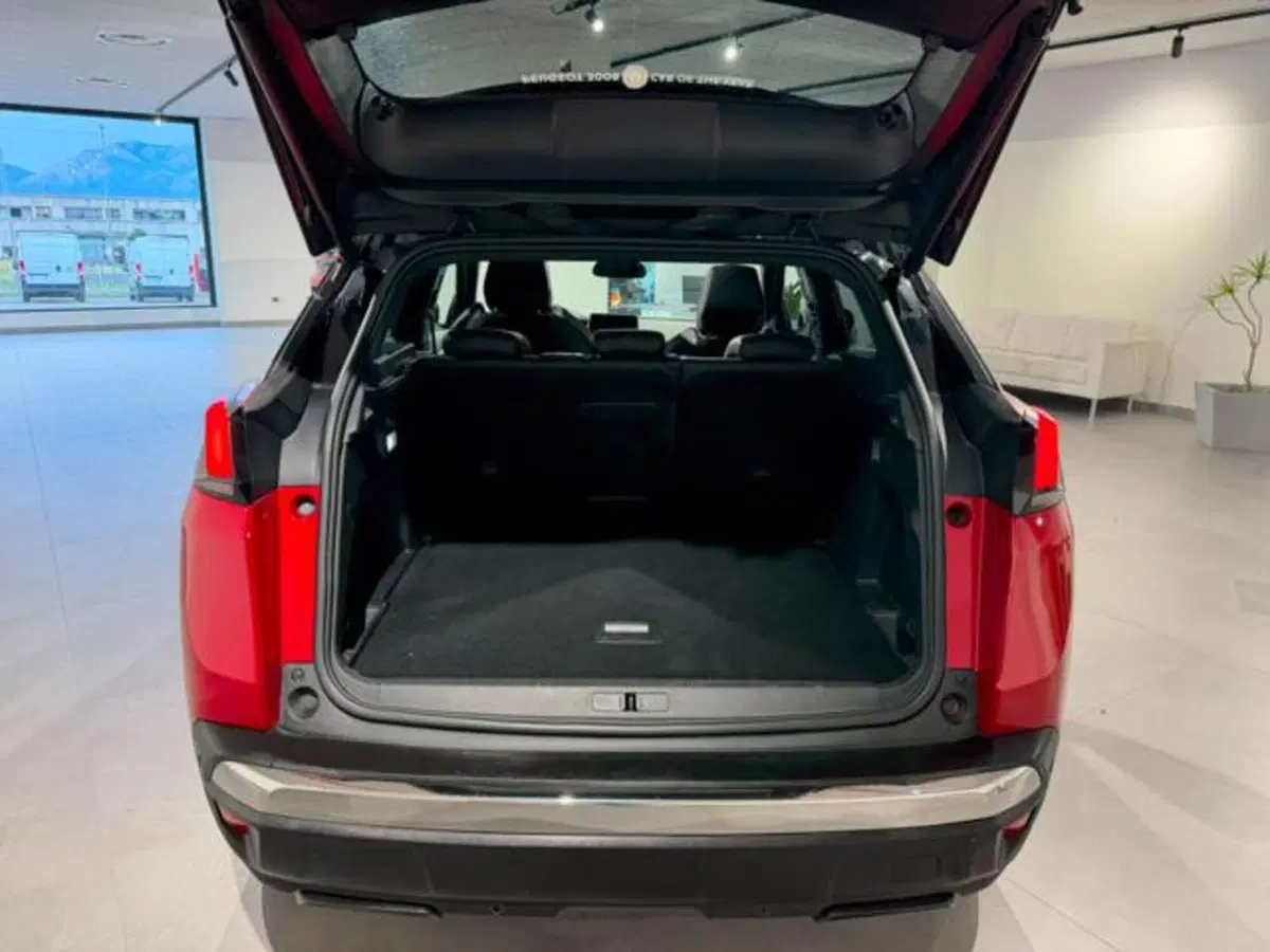 Peugeot 3008 usata a Salerno (20)