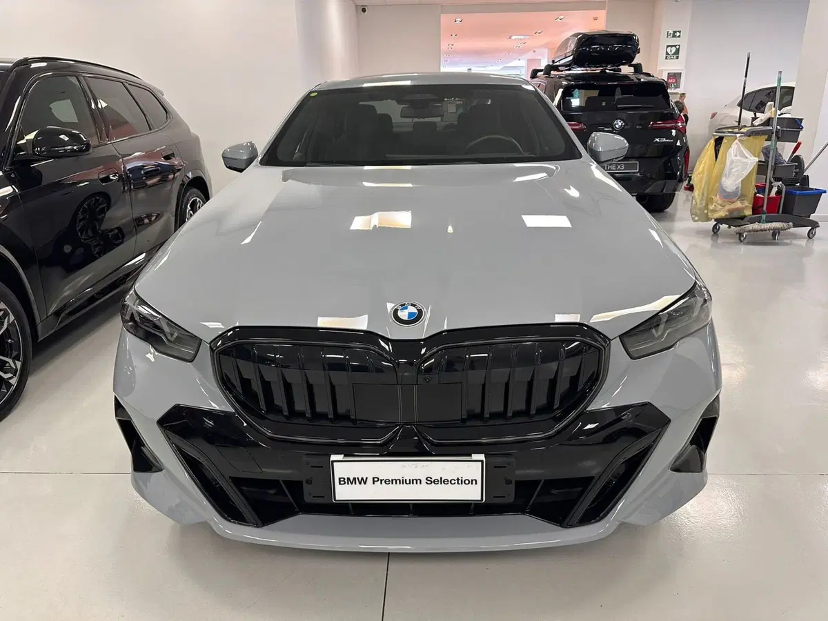 BMW Serie 5 usata a Cuneo (3)
