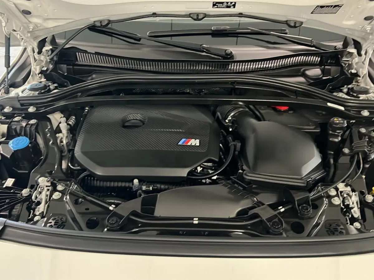 BMW Serie 1 usata a Torino (13)