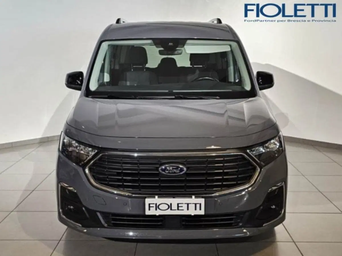 Ford Tourneo Connect usata a Brescia (3)