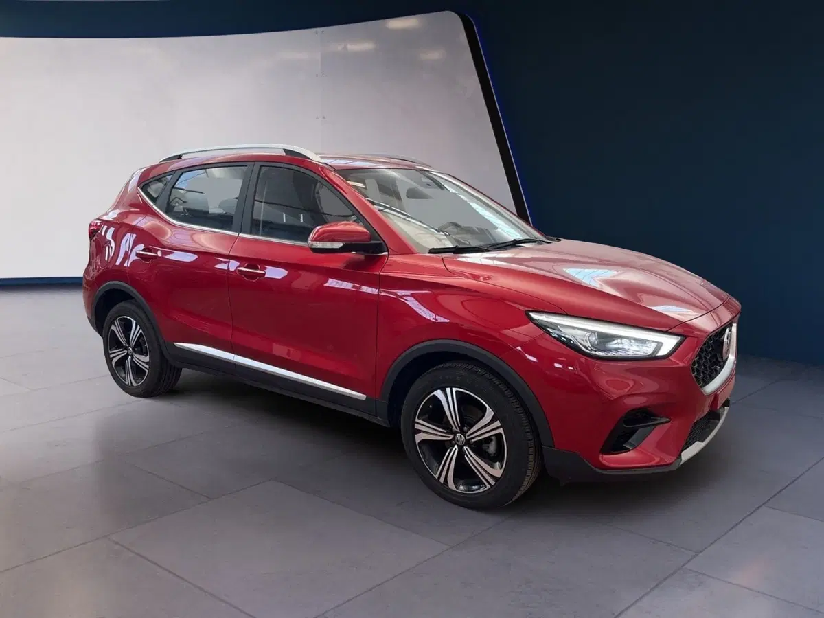 Mg ZS usata a Torino (2)