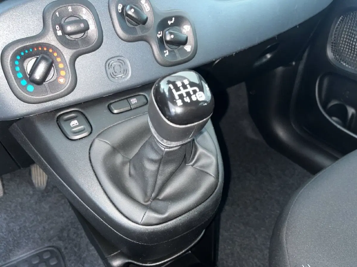 Fiat Panda Cross usata a Torino (12)