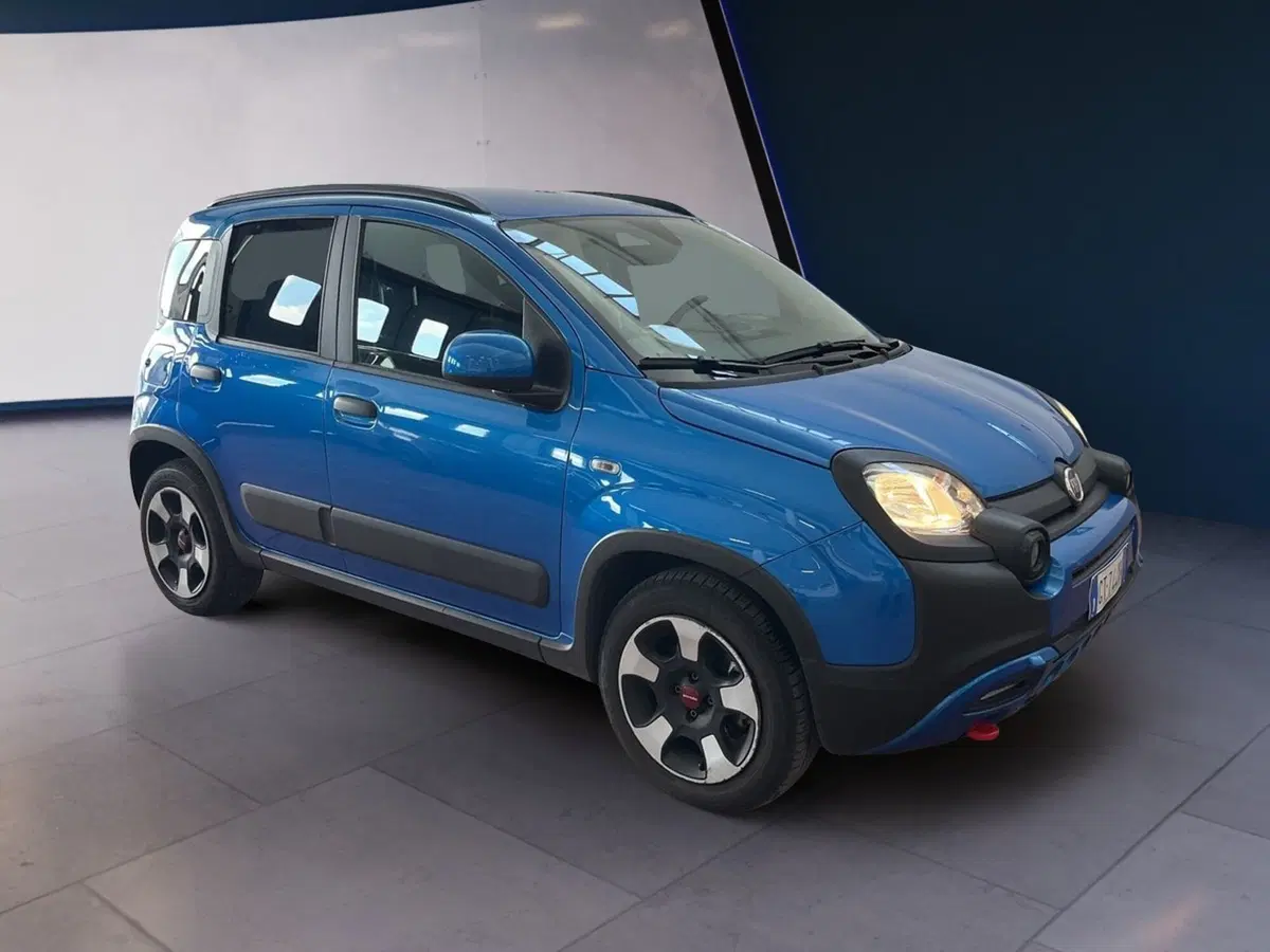 Fiat Panda Cross usata a Torino (2)
