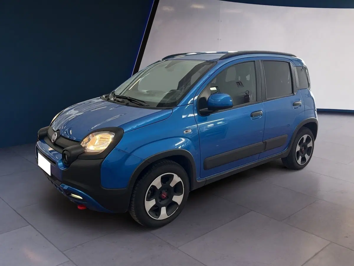 Fiat Panda Cross usata a Torino (3)