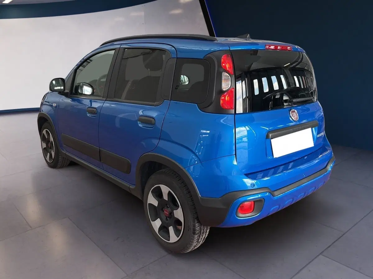 Fiat Panda Cross usata a Torino (4)