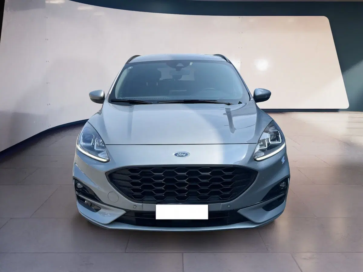 Ford Kuga usata a Torino