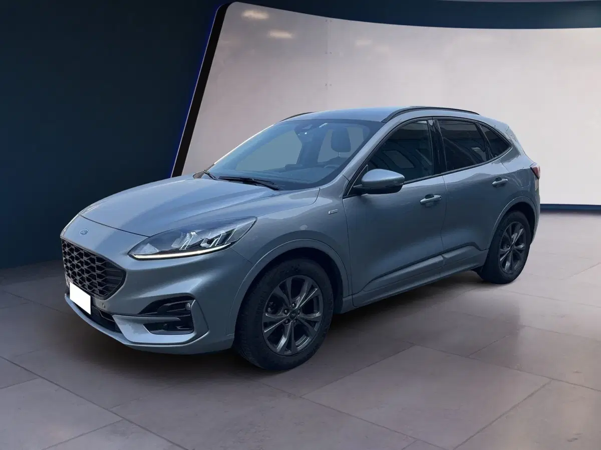 Ford Kuga usata a Torino (2)
