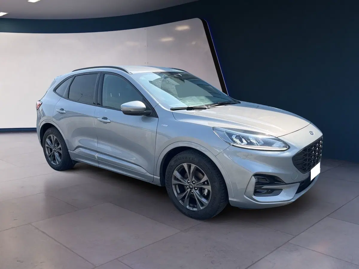Ford Kuga usata a Torino (3)