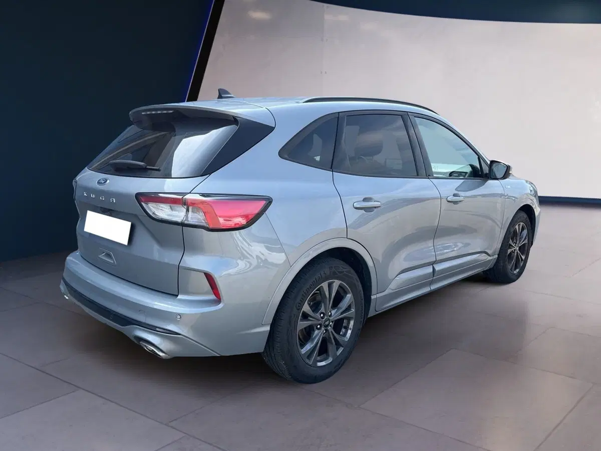 Ford Kuga usata a Torino (4)