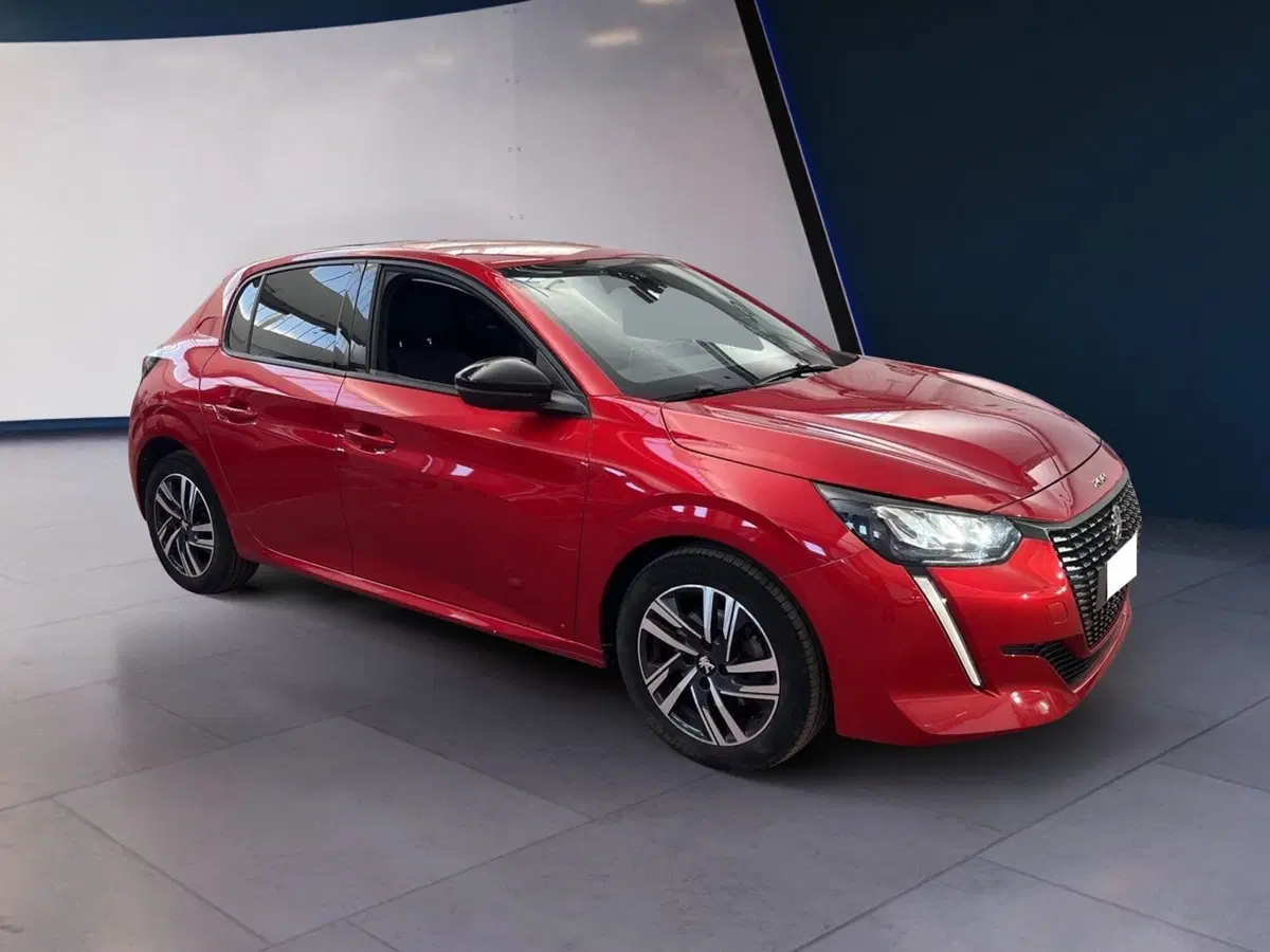 Peugeot 208 usata a Torino (2)