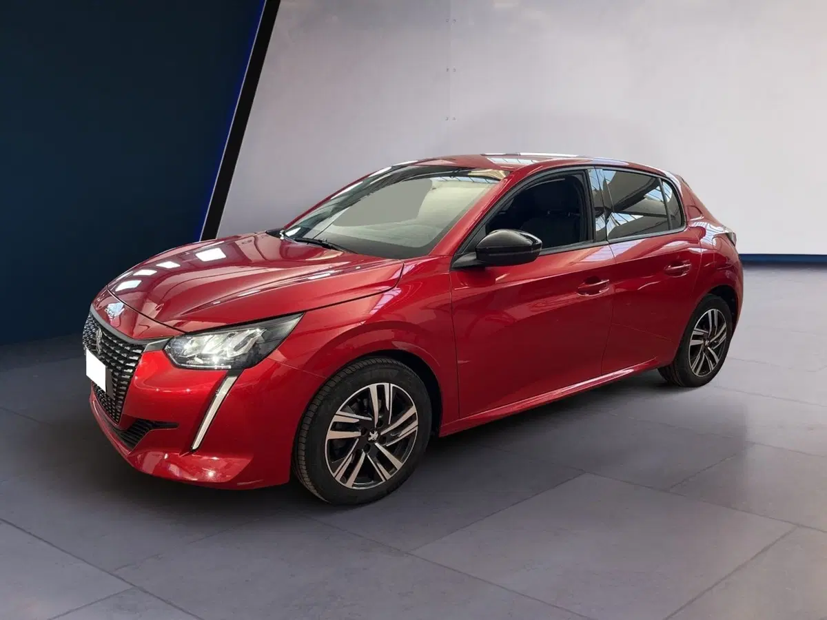 Peugeot 208 usata a Torino (3)