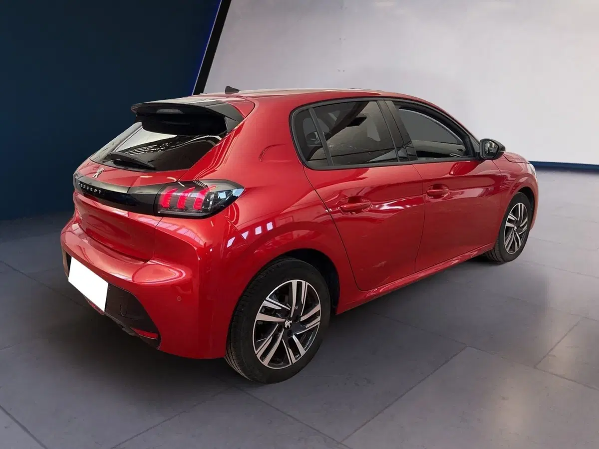 Peugeot 208 usata a Torino (6)