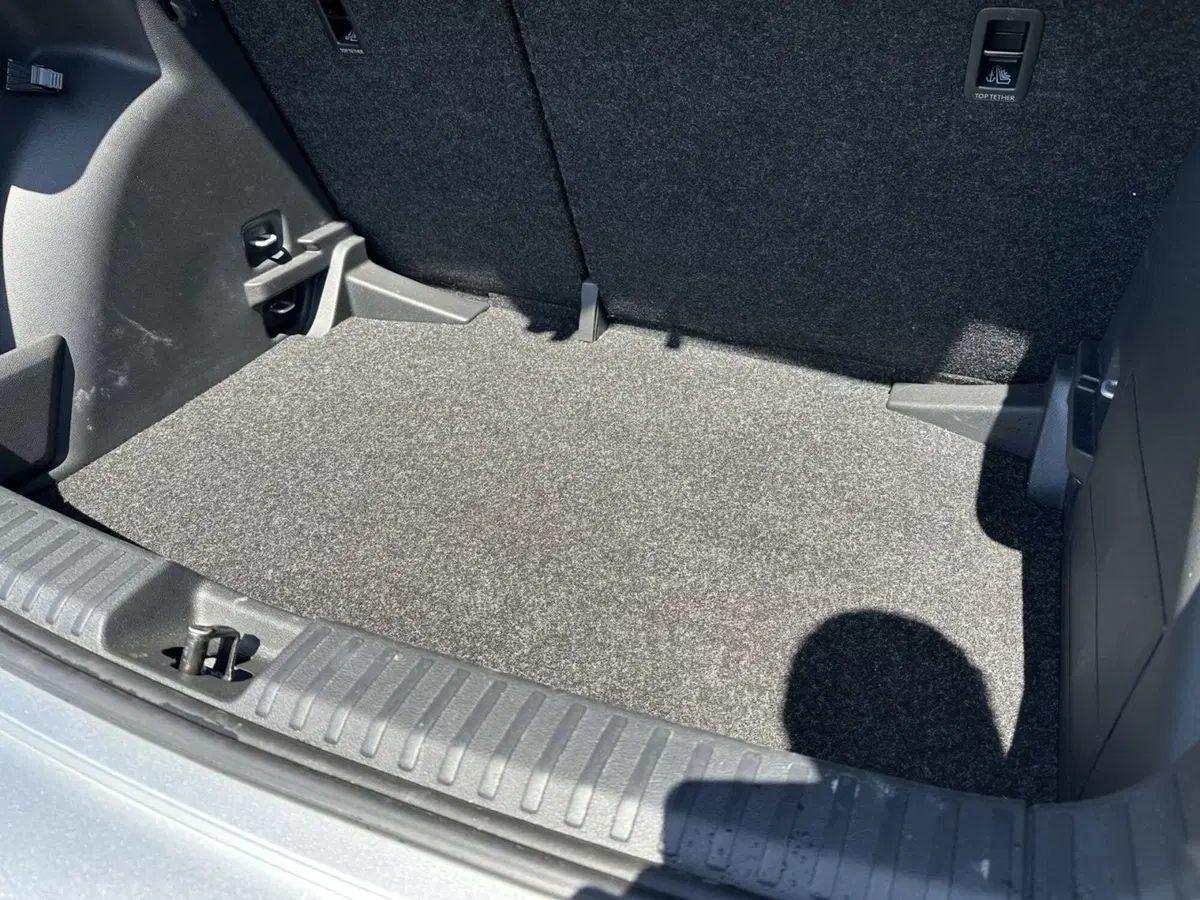 Skoda Fabia usata a Pistoia (10)