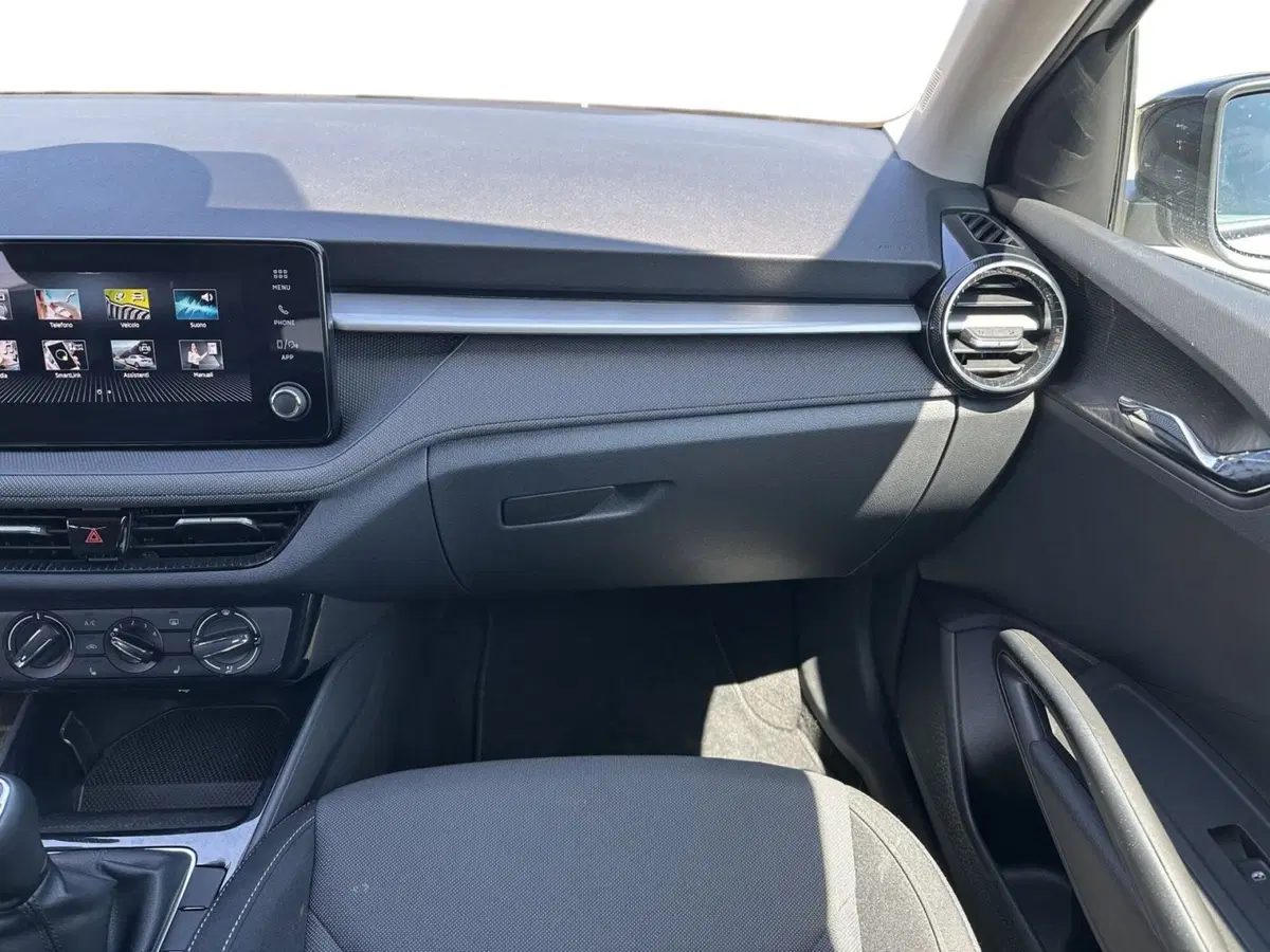 Skoda Fabia usata a Pistoia (12)