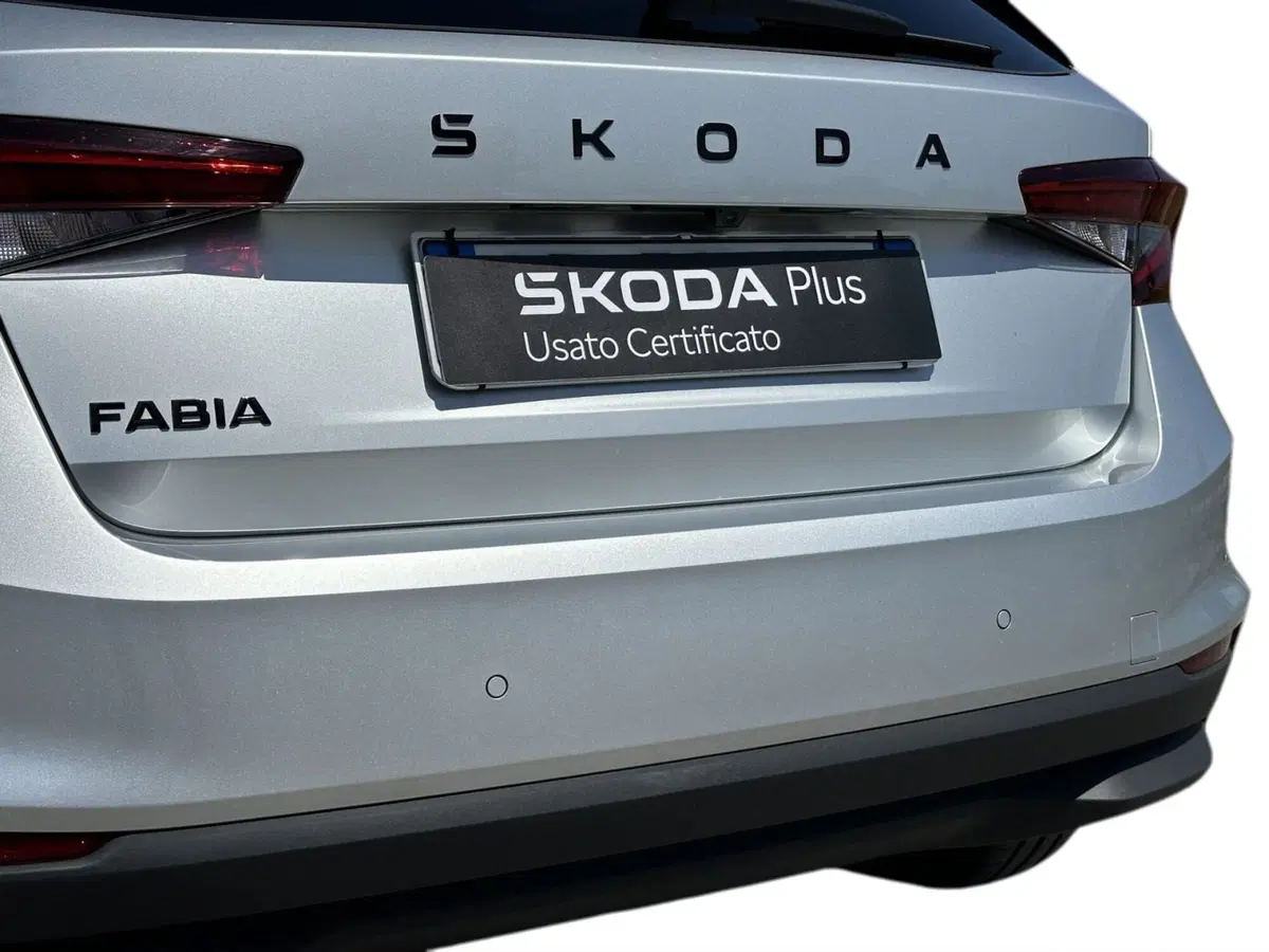 Skoda Fabia usata a Pistoia (14)