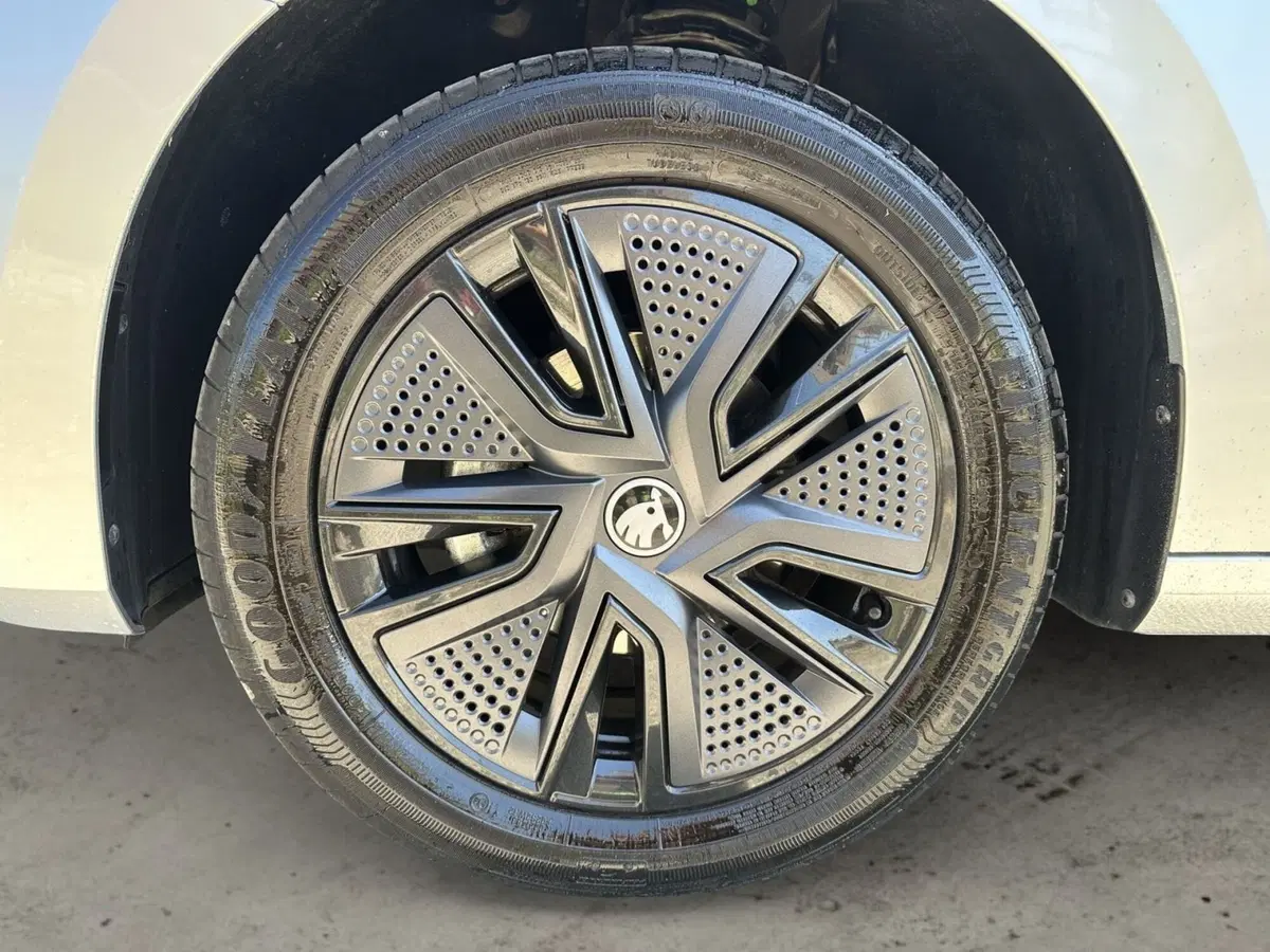 Skoda Fabia usata a Pistoia (15)