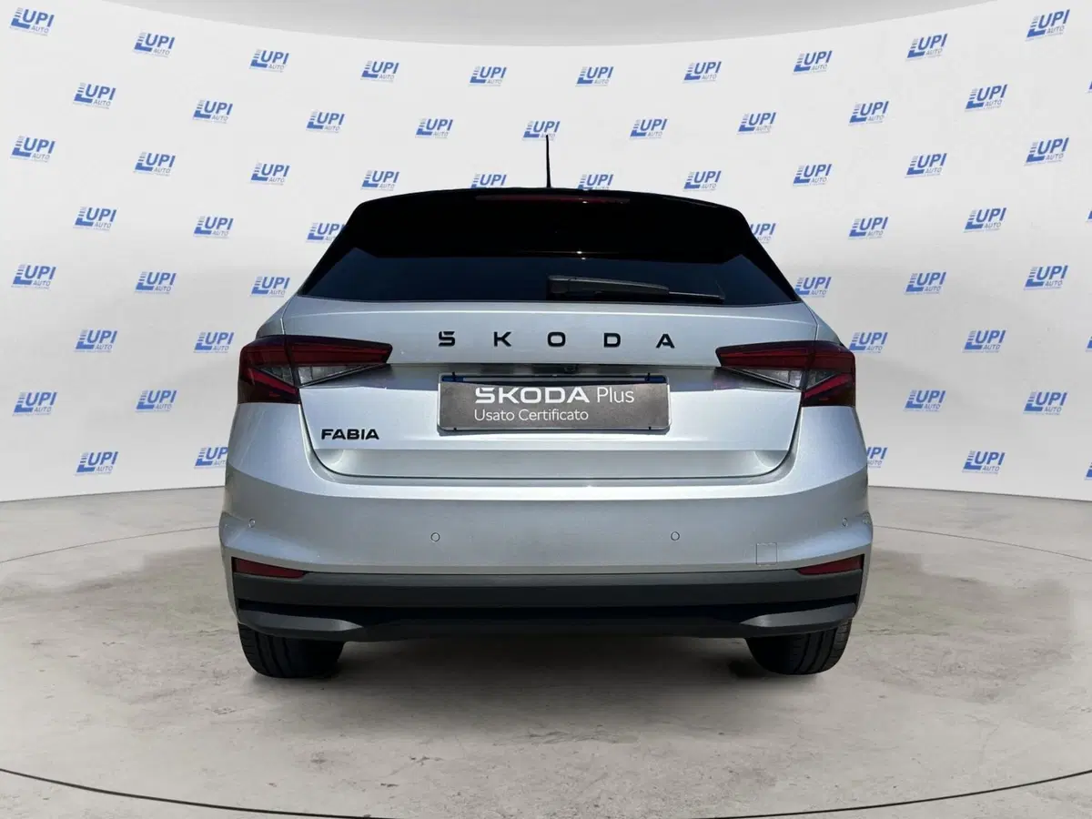 Skoda Fabia usata a Pistoia (2)