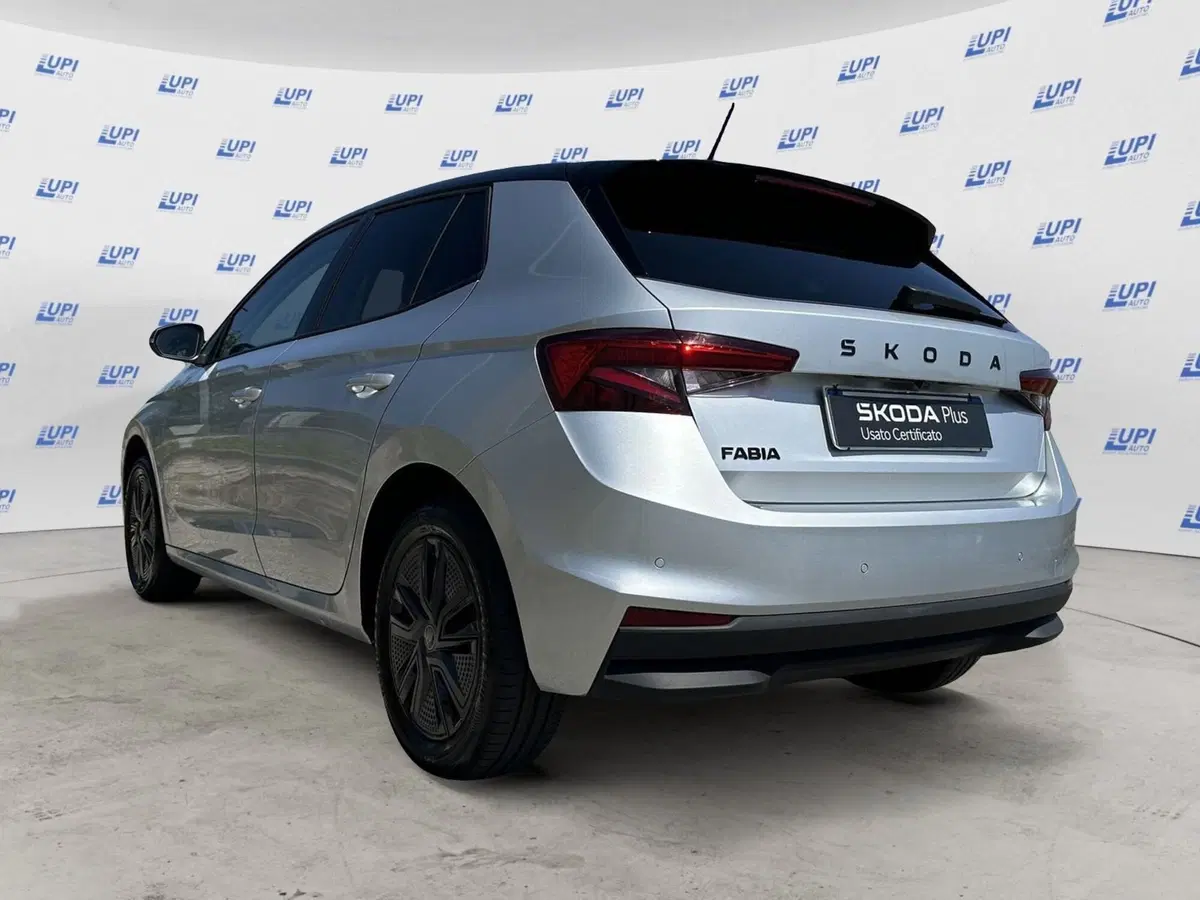 Skoda Fabia usata a Pistoia (4)