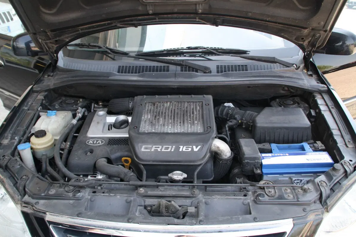 Kia Carens usata a Pordenone (12)