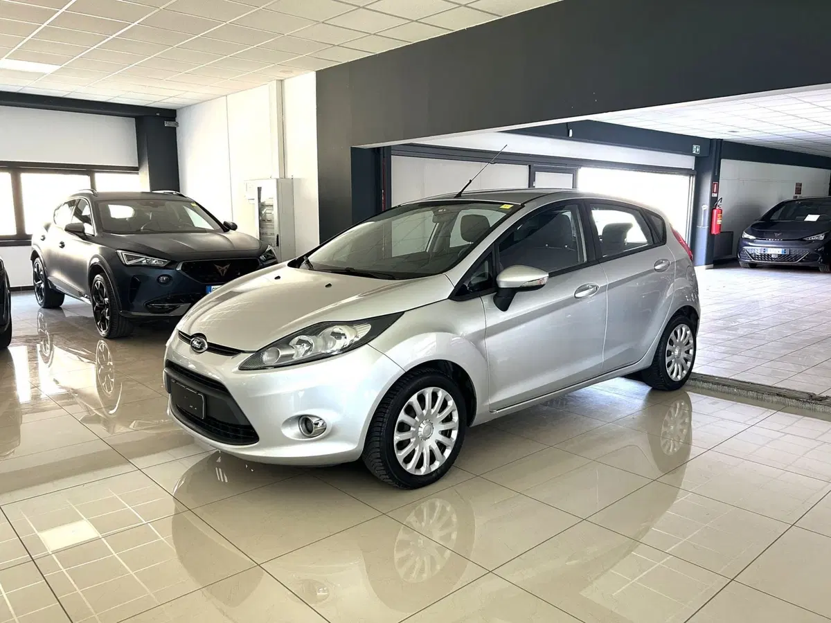 Ford Fiesta usata a Ferrara