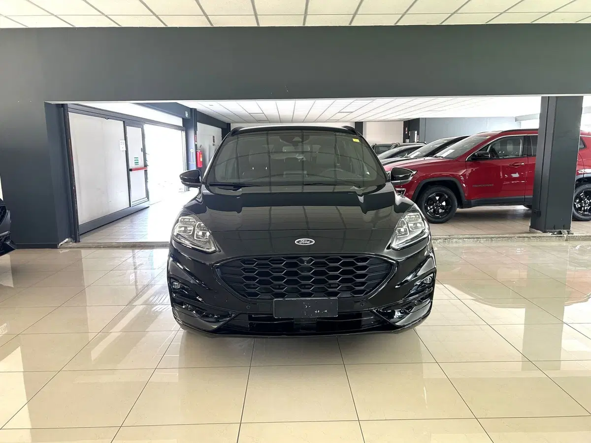 Ford Kuga usata a Ferrara (2)