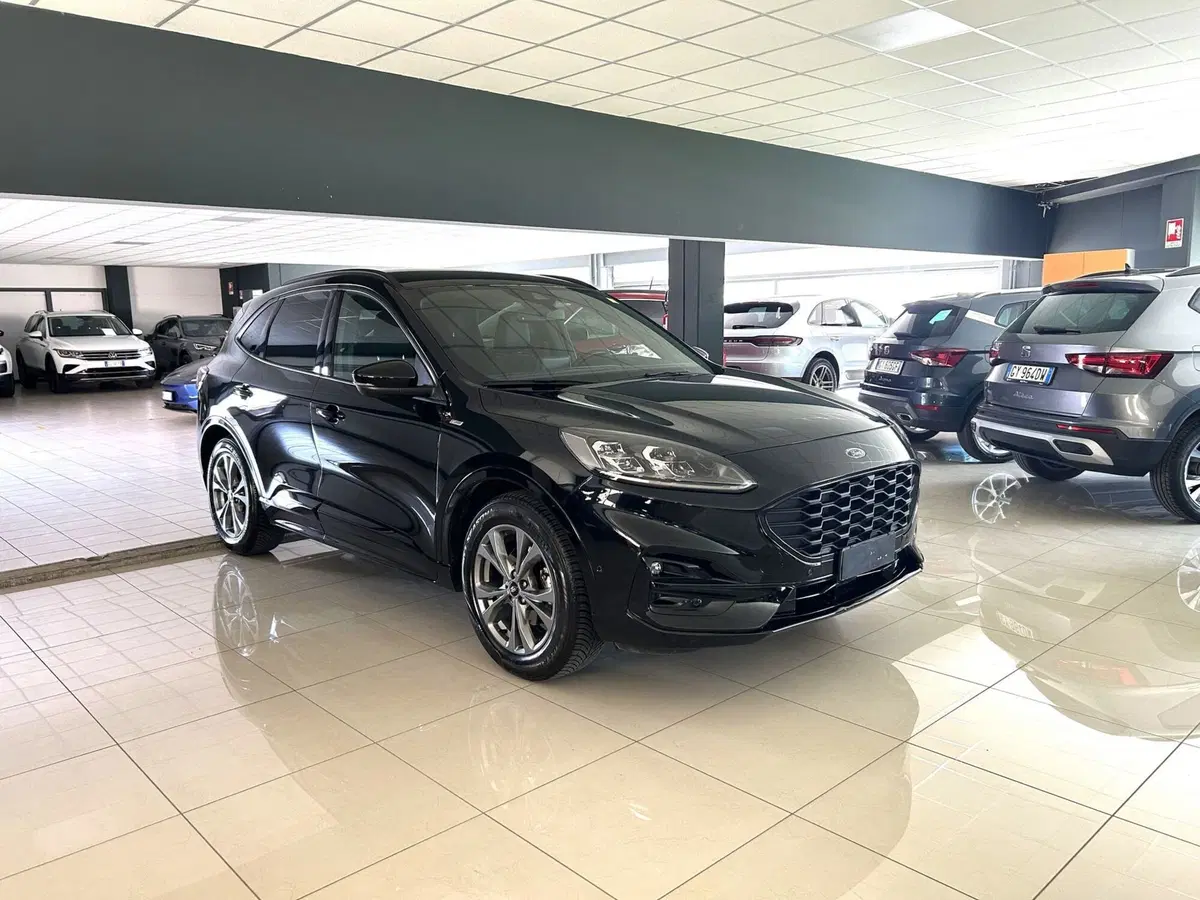 Ford Kuga usata a Ferrara (3)